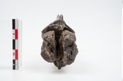 Foto von Eisenschaftlappenbeil (NHMW-PRAE-024479)